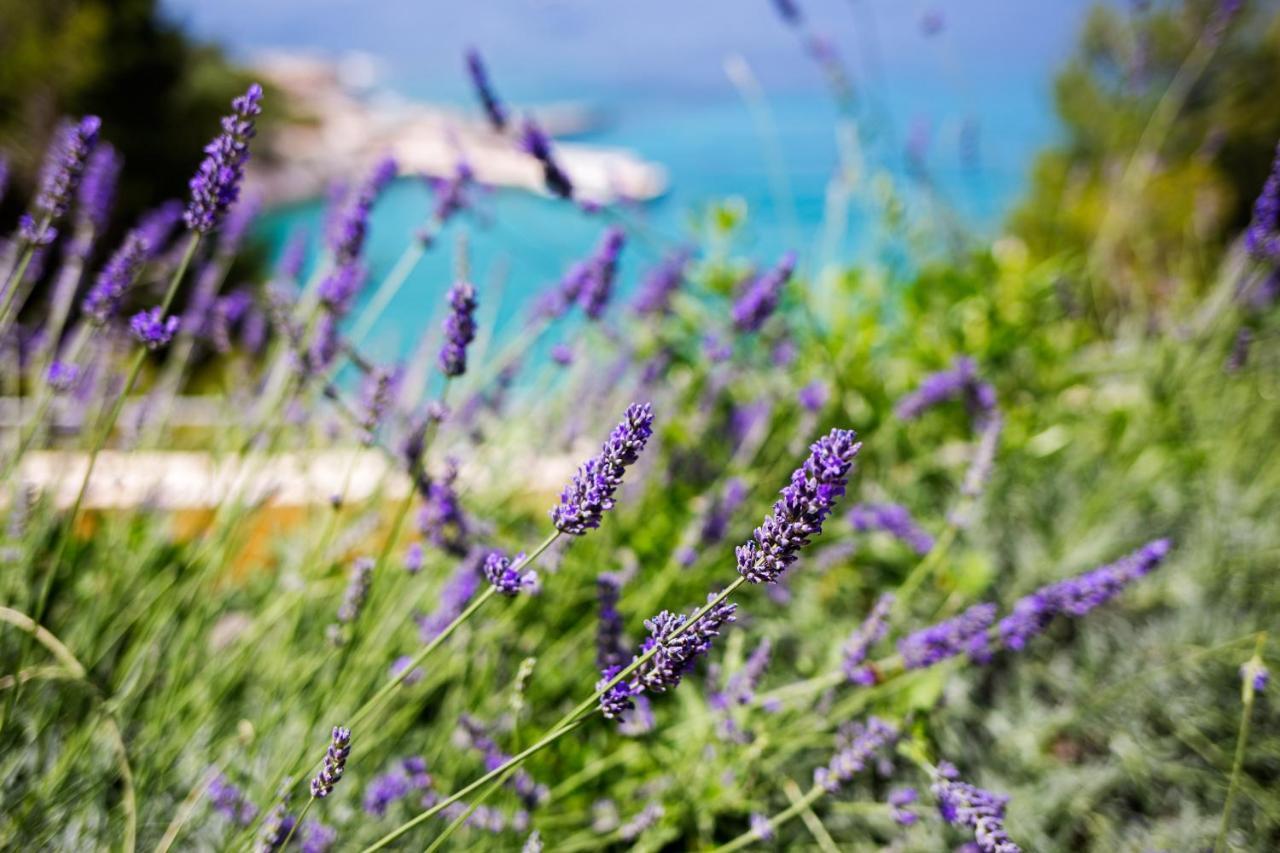 Blue Bay Apartma