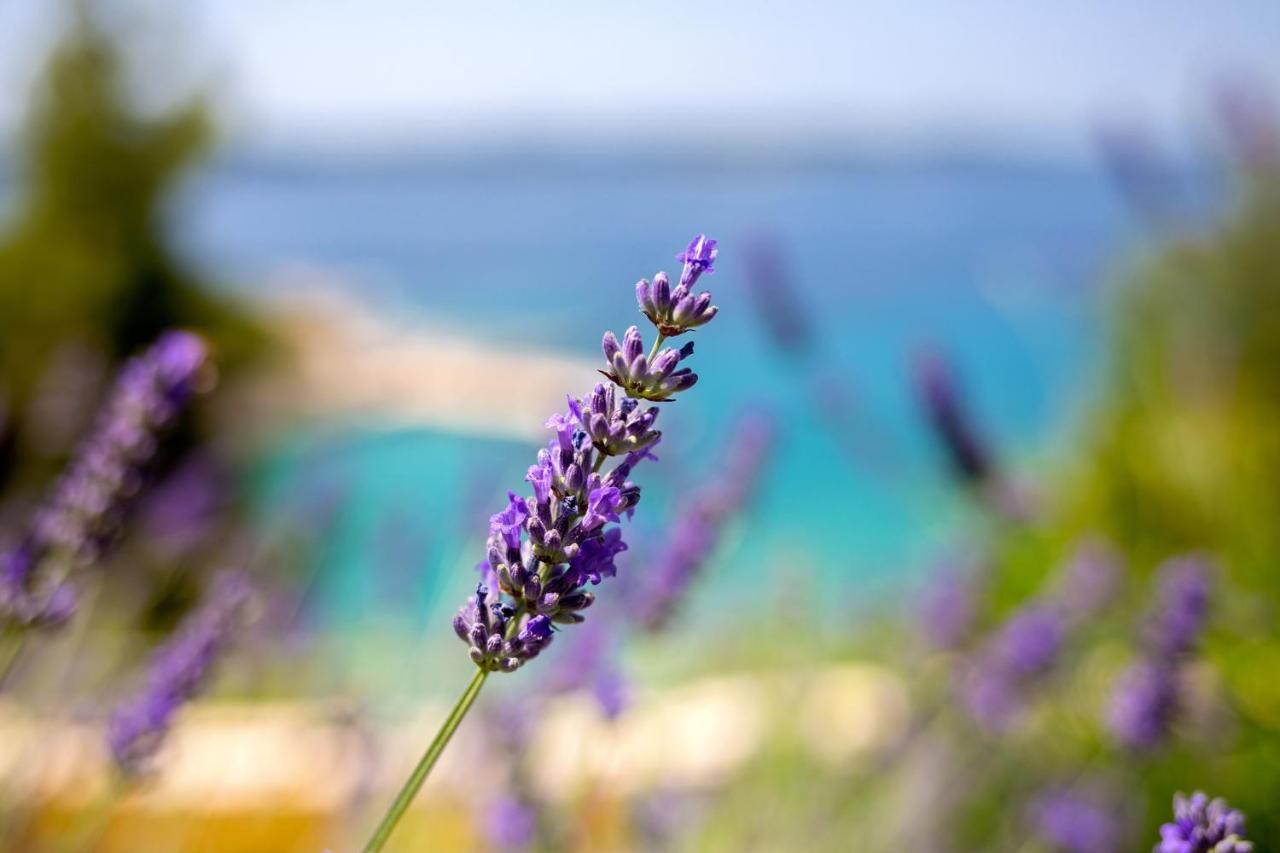 Apartma Blue Bay *